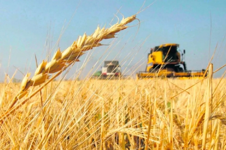 Alertan por el encarecimiento global de los fertilizantes nitrogenados