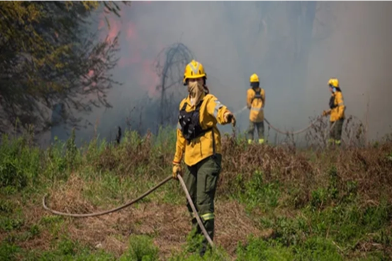 Impulsan la formaci&oacute;n de internos como brigadistas forestales