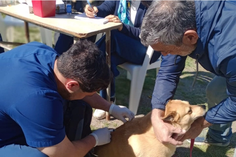 Se llevar&aacute; a cabo una jornada de antirr&aacute;bica gratuita para perros y gatos en el Polo Educativo