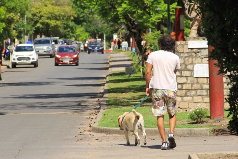Domingo templado en la ciudad: m&aacute;xima de 26&deg;C y sin lluvias previstas