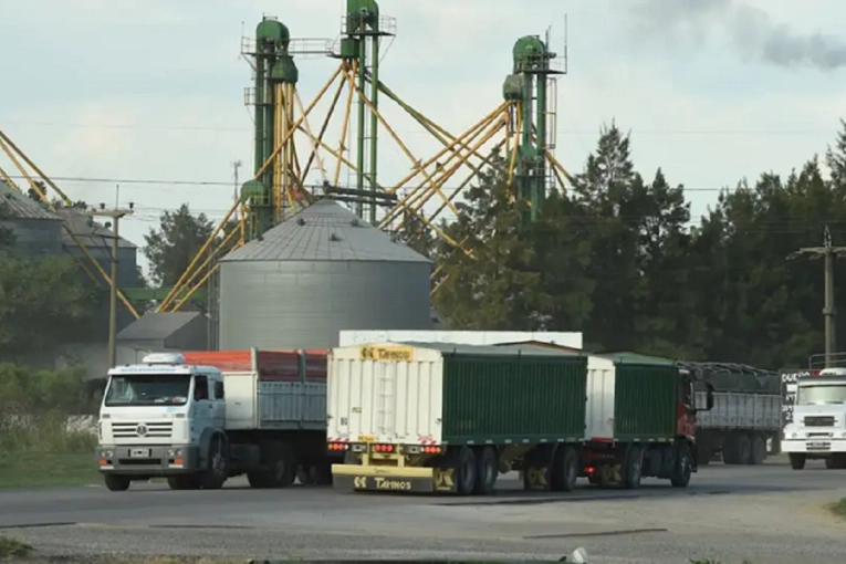 El impacto del transporte representa m&aacute;s del 5% del precio final de yerba, aceite y az&uacute;car