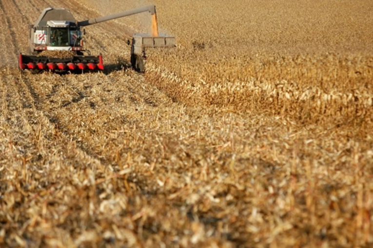 Las exportaciones del campo marcar&aacute;n un nuevo r&eacute;cord en el primer cuatrimestre