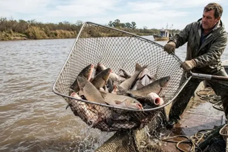Nuevo cupo de extracci&oacute;n de pescado: 35.000 kilos por acopiador