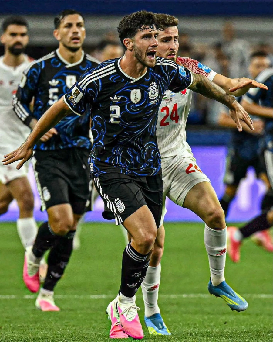 <i>Marcos Senesi </i>