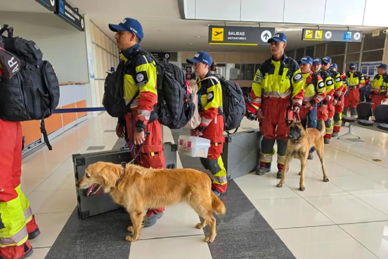 Perros rescatistas tienen un papel protag&oacute;nico tras los sismos en Venezuela